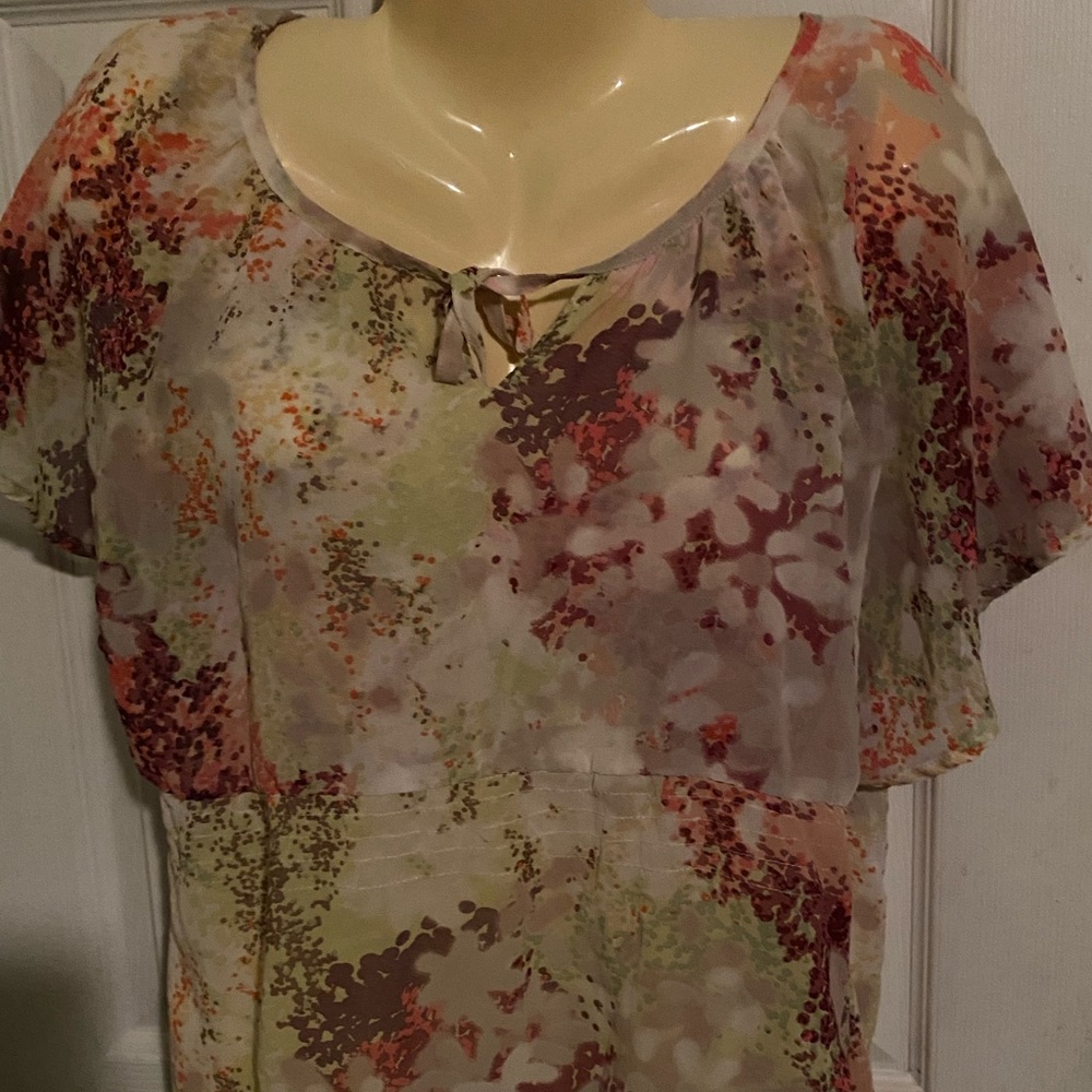 H & M Sheer Blouse (final)